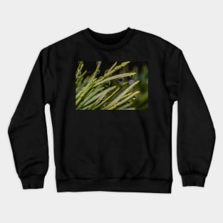 Freezing Rain II, Macro Droplets Photograph Crewneck Sweatshirt